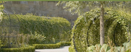 Alnwick Garden